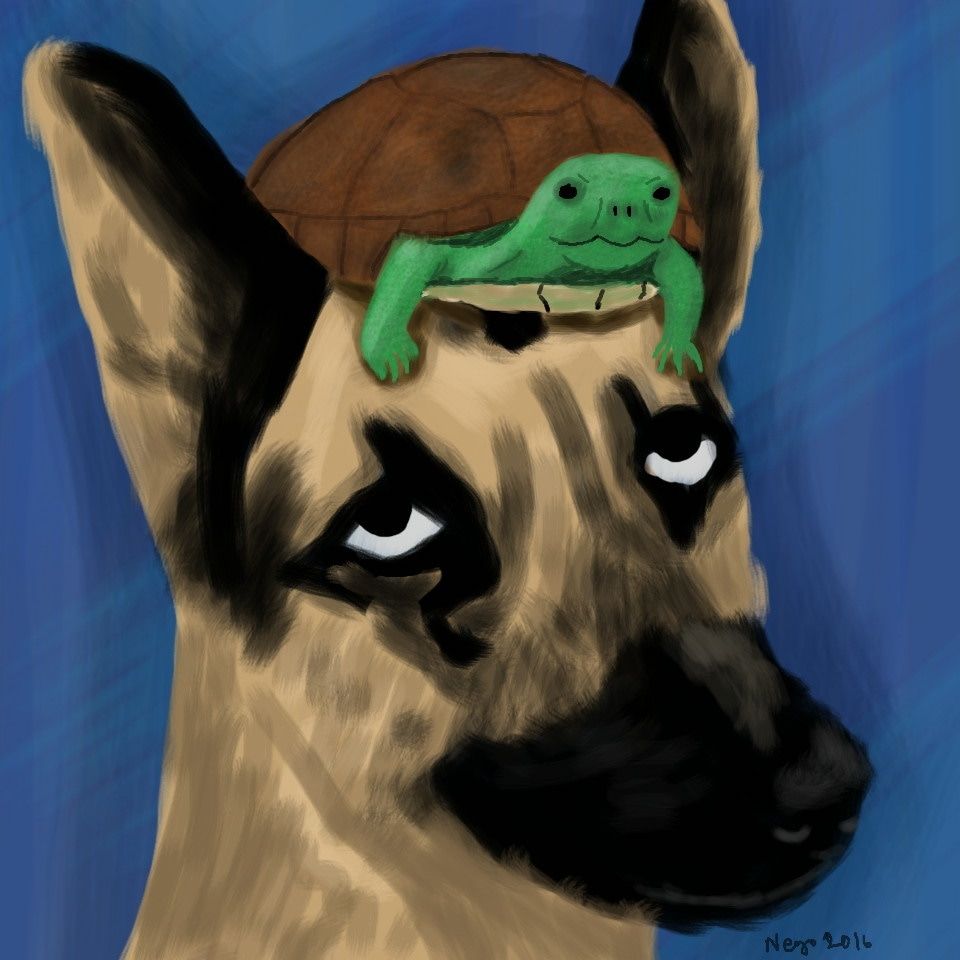 Digital painting of a dog with a turtle on its head. Blue background.