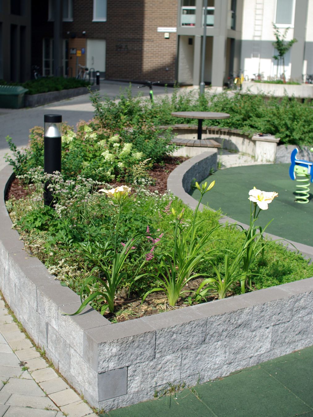 Istutusalue, jossa kasvaa erilaisia perennoja ja pensaita.