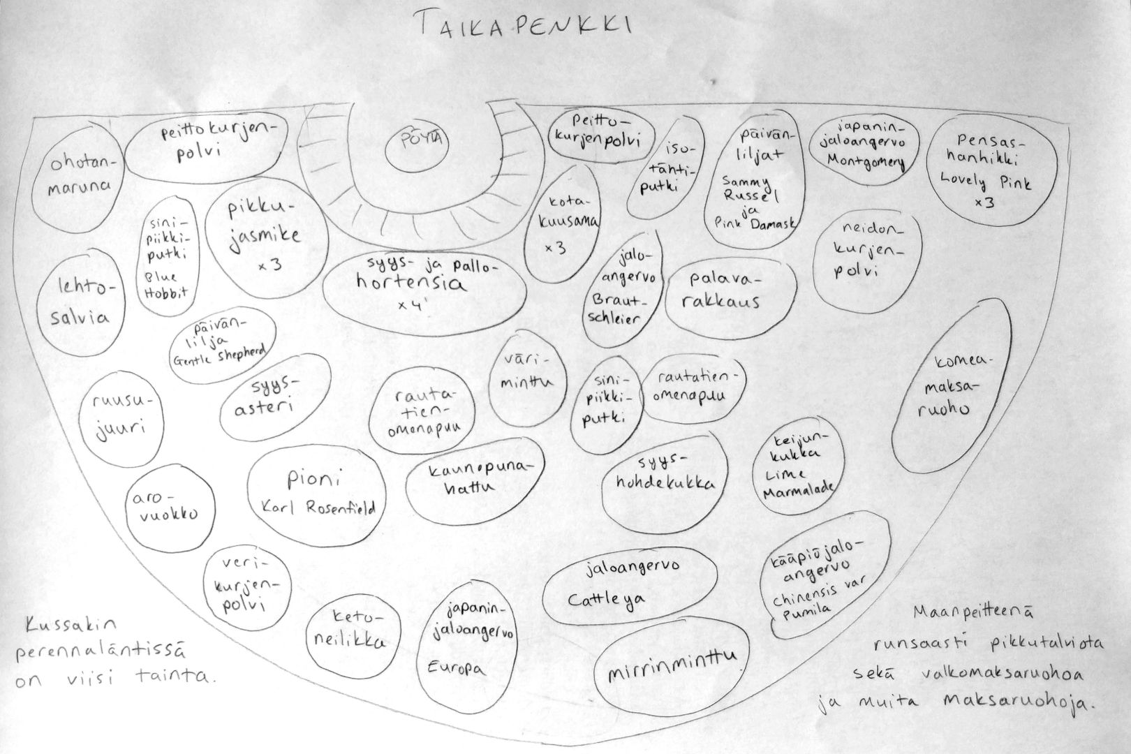 Kasvikarttaluonnos, johon on nimetty perennoja, pensaita ja omenapuut.