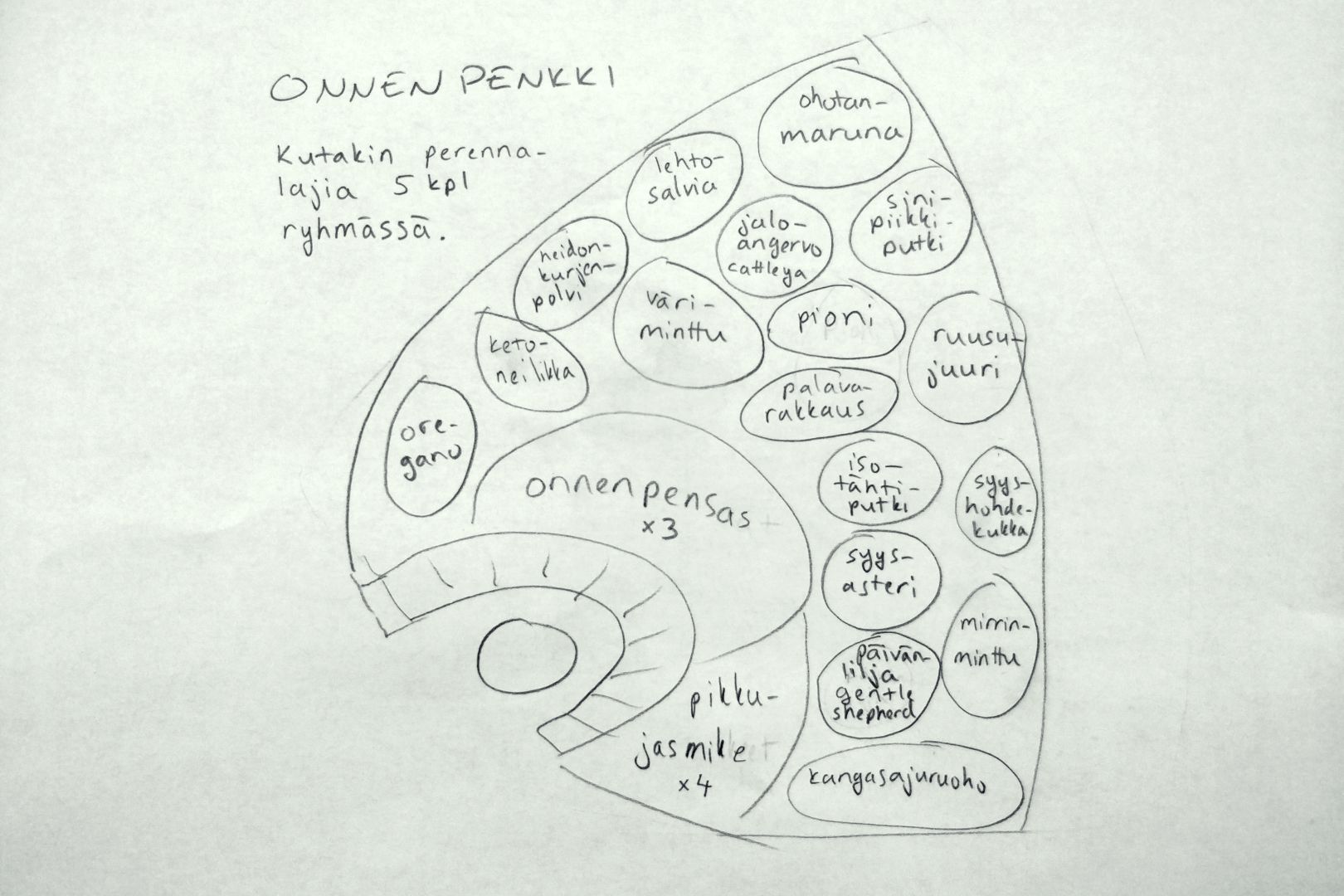 Kasvikarttakuva istutusalueen perennoista ja pensaista