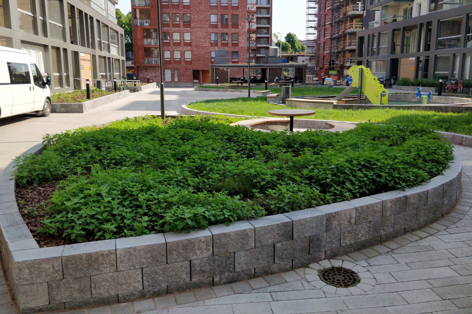 Istutusalue täynnä vihreää rikkaruohoa