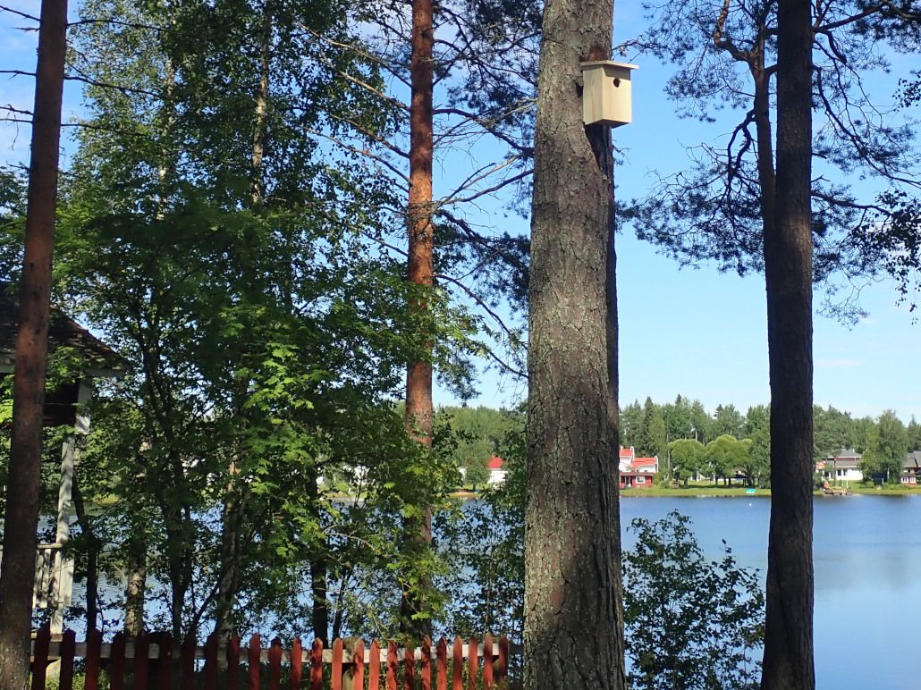 Birdhouse #4