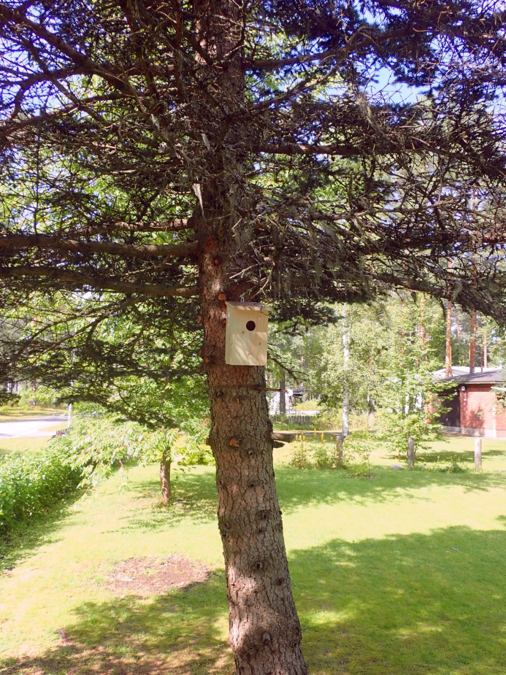 Birdhouse #1
