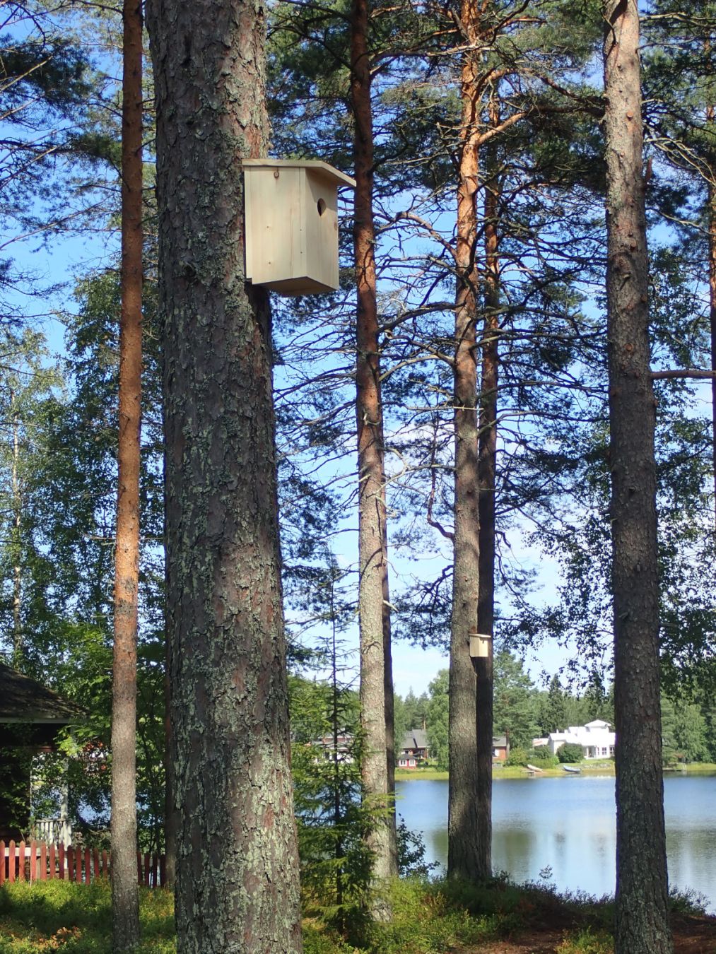 Birdhouse #3